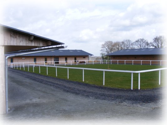 Visit Alain Couétil's stables, French racehorse trainer, settled in Senonnes (in West of France)